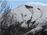 4. stopnja nevarnosti snežnih plazov - prikaz plazov dne 7.3.09 Talni plaz pod vrhom Planje